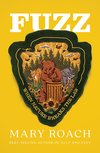 Fuzz: When Nature Breaks the Law