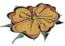 See Your Byline in Bloom!