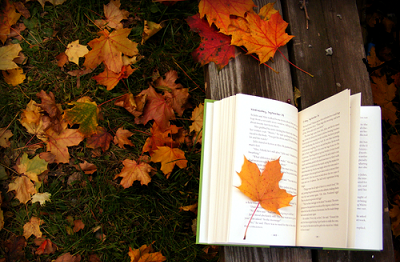 11 Fall Fiction Picks