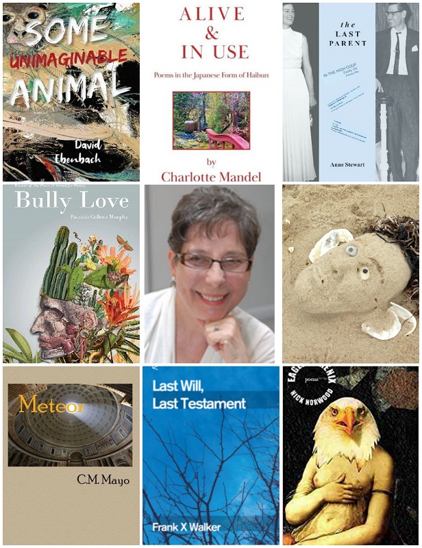 July 2019 Exemplars: Poetry Reviews by Grace Cavalieri