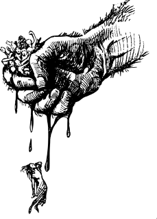 Triumph of the Will