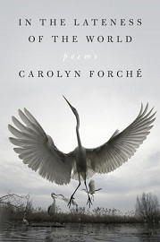 Capturing the Lateness of the World