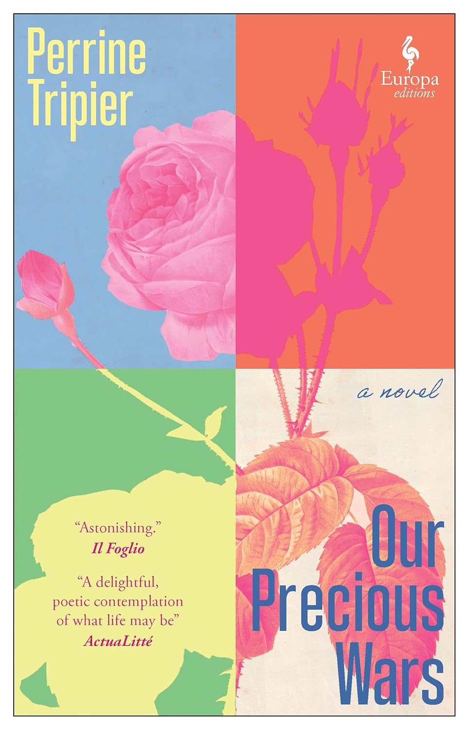 Our Precious Wars: A Novel