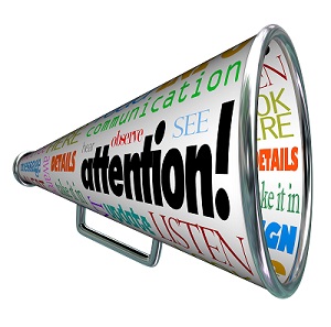 Publicize Your Book Like a Pro!