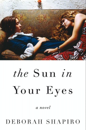 The Sun in Your Eyes: A Novel