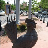 Takoma Park Book Fair