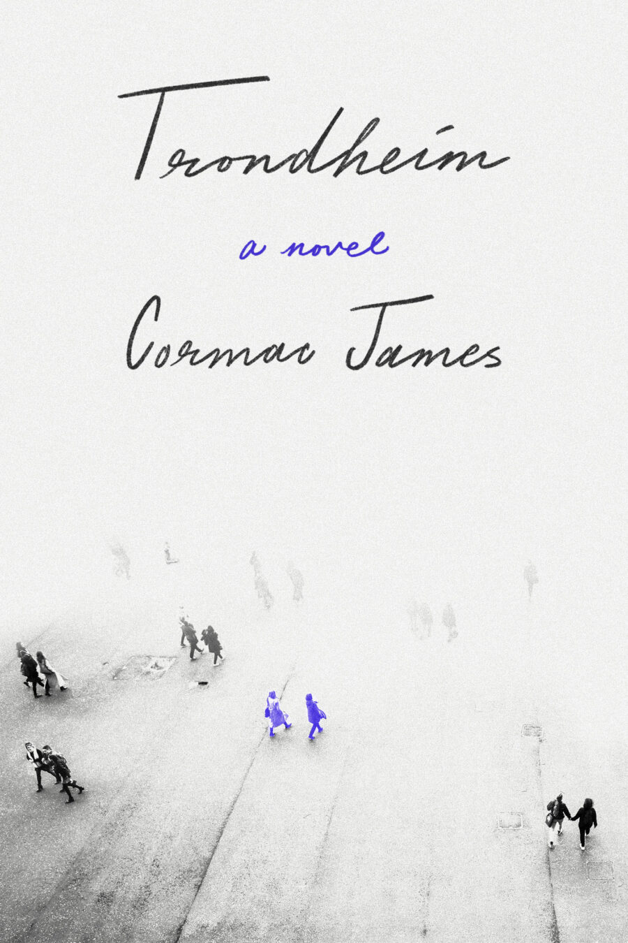 Trondheim: A Novel