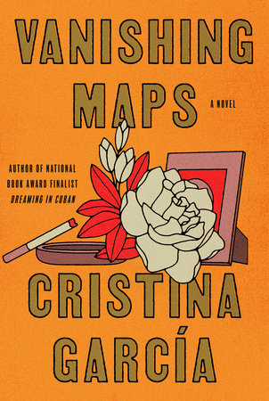 Vanishing Maps: A Novel