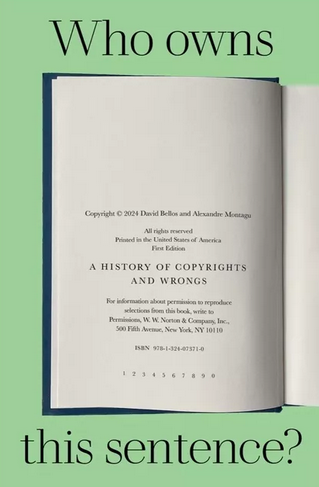 Who Owns This Sentence?: A History of Copyrights and Wrongs